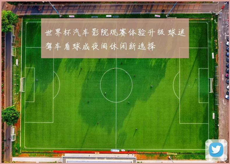 世界杯汽车影院观赛体验升级 球迷驾车看球成夜间休闲新选择